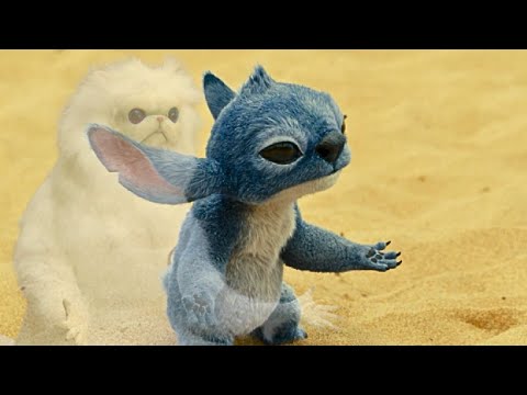 Lilo And Stitch being the most HILARIOUS Disney adaptation for 4 minutes