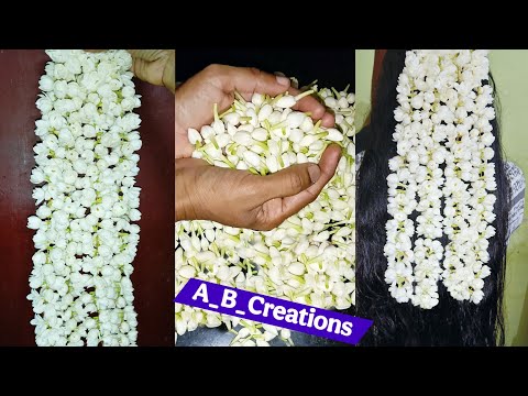 മുല്ലപ്പൂ ഇഷ്ടമുള്ളവരുണ്ടോ 💮🤍  #jasmine #flowers #youtube #gardening #home
