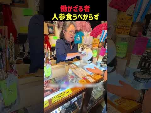 働かざる者人参食うべからず