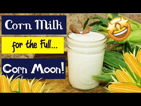 Let's make corn milk for the FULL CORN MOON!!!