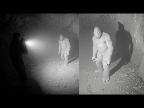GIANT SASQUATCH Crushed Cave Explorers Head - Bigfoot Story