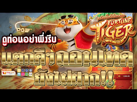 สล็อตแตกง่าย | สล็อตเว็บตรง ไม่ล็อคยูส เว็บตรง true wallet ไม่มีขั้นต่ำ