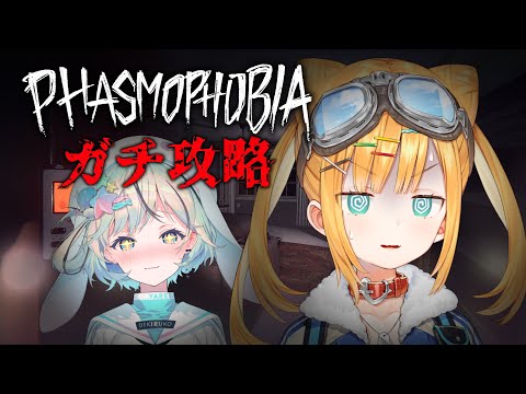 【Phasmophobia】隊長機長でガチ攻略！？隊長、まかせましたよ【日本晴ここ/#新人vtuber】