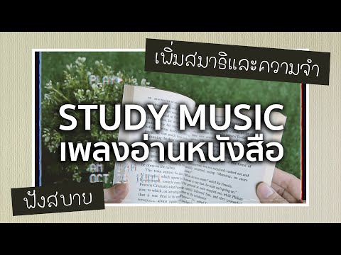 เพลงอ่านหนังสือ - เพิ่มสมาธิ ความจำ คลายเครียด ฟังเพลินๆ - FEELS (ฟีล)