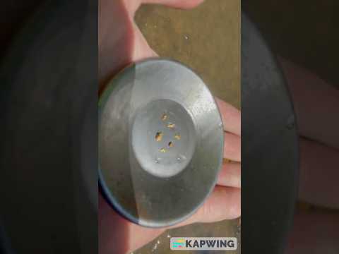 Gold from 10 Pans! Garrett Super Sluice + Minelab Classifier Test