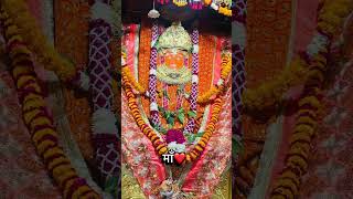 🙏🌺#jeenmata #jeenmataji #maiya #maa #mata #devi #sikar