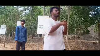 Auroville - Pondicherry - Part 2