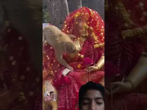 🙏🙏🙏❤️❤️❤️