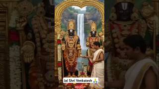 🌸 Jai Shri Venkatesh Swamy – Feel the Power of His Divine Blessings! 🙏 #ytshorts #shorts #asu_fact