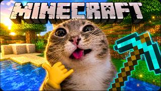 Minecraft with Cats (Full Episode)