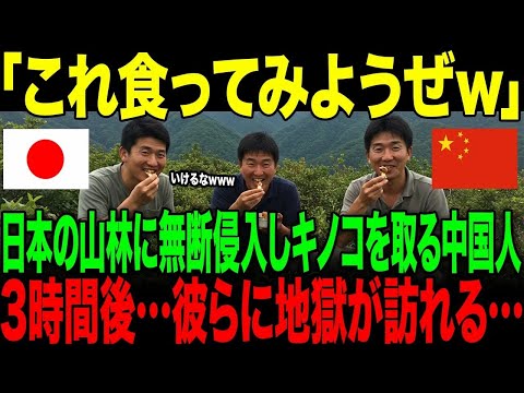 【海外の反応】「日本のキノコ食べ放題」日本の山林に無断侵入しキノコを取る中国人。→3時間後…彼らに地獄が訪れる…
