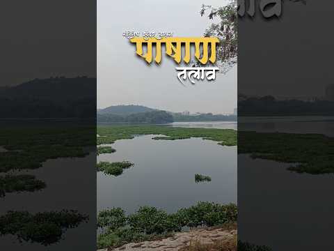 ♥️ PASHAN LAKE, PUNE 😍#shotsvideo#shorts#youtubeshorts#youtube#shortfeed#punecity#akshinelife#nature