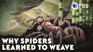 The Arms Race That Made Insects Take Flight