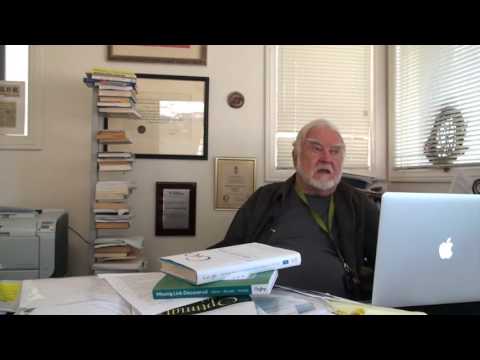 Csikszentmihalyi about Flow in Business