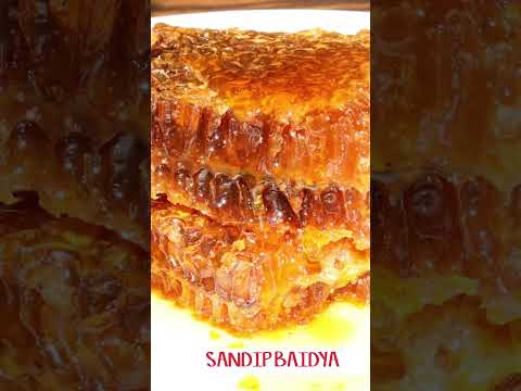 📘 গতকালের উত্তর জেনে নাও, আর আজকের নতুন প্রশ্নে নিজেকে চ্যালেঞ্জ করো! তুমি কি পারবে উওর দিতে? #short