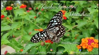 Rasoolan Ameena - Arabic Song with Lyrics | Trending Status | Islamic Song | HD |Arabic| Ramzan #01