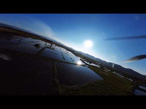 Cruising above the fields and ponds #fpv