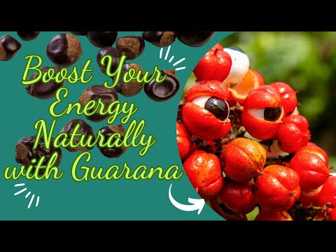 Boost Your Energy Naturally with Guarana