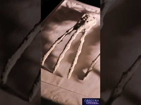 The Alien Mummies of Nazca… Real or Hoax?.#AlienMummies  #NazcaMystery  #UFOs  #Peru  #HoaxOrReal