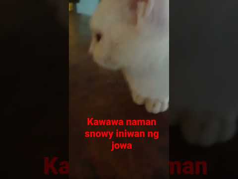 #subscribe # #shortvideo #wait