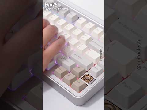 typing ASMR (Evo75) #customkeyboard