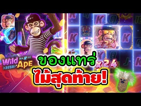 Wild Ape  ลิงสุดไวลด์pg ► ของแทร่ ไม้สุดท้าย