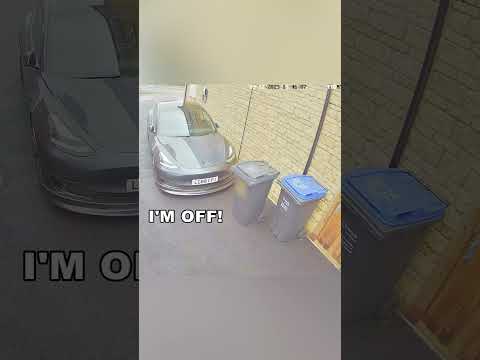 When bins go bad!