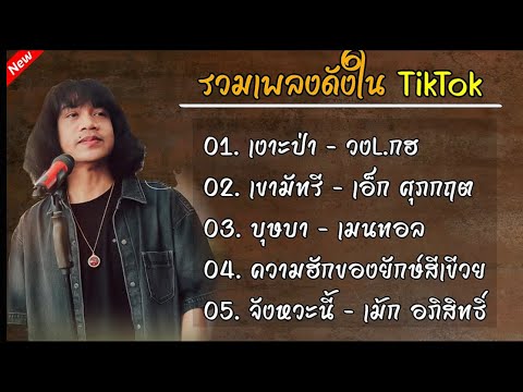 รวมเพลงดังTikTok(เงาะป่า+เขามัทรี)#รวมเพลงลูกทุ่ง 