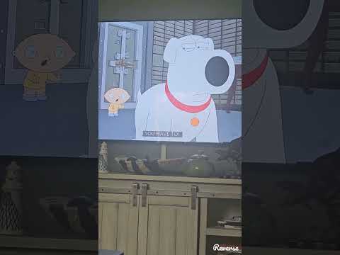 Family guy Brian eats stewie's 💩 reversed
