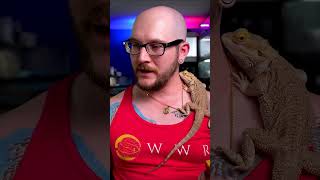 5 USELESS Reptile Products You're WASTING Your Money On!