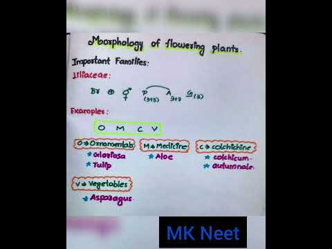 Morphology of flowering plants.Examples.Tricks.Part_6 #mkneet #neet #neet2022