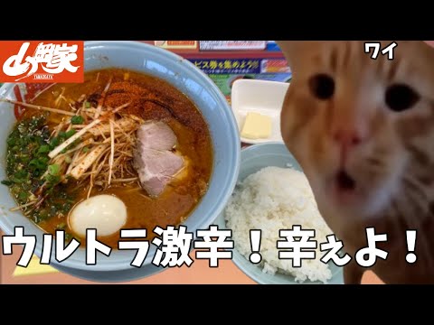 【山岡家】ウルトラ激辛ラーメンが辛すぎてライスをかき込んだ話【クセになる味】#猫ミーム #猫マニ