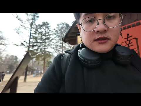 Nami Island Tour