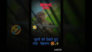 #mehmaan🤣😍
