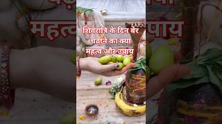 Way to offer berries on Shivling on Shivratri!! #shiv #shivratri #shiv #pandit_pradeep_ji_mishra