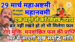 29 मार्च महा अष्टमी महानवमी एक धतूरे से करें विशेष उपाय व्रत नहीं रखते हो तो भी मिलेगा फल ,मिलेगा सब
