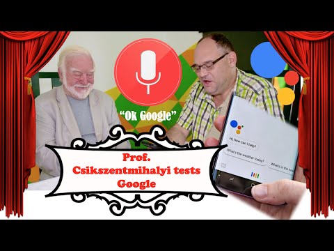 Prof. Csikszentmihalyi versus Google