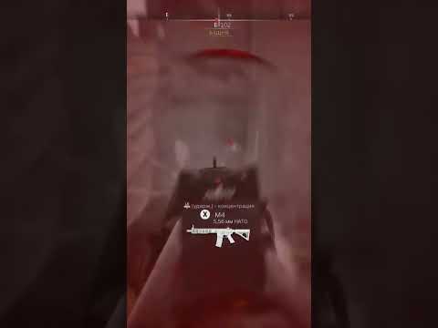 Double kill! Call of Duty: MW2 | SP-R 208