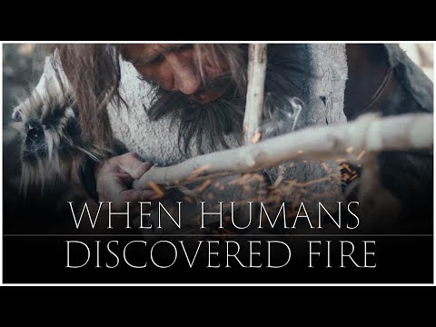 When Early Humans Discovered Fire...