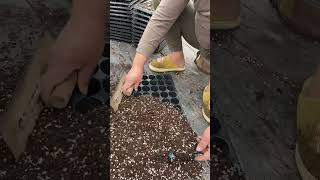 🌱Follow these steps, and it won't cost you a penny! Make "all-purpose" nutrient-rich soil at home.