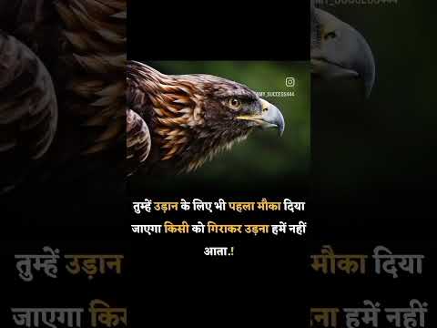 Best motivational Status Video King Video motivational #motivationalthought #short #motivationalking