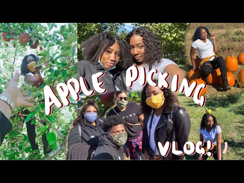 Apple Picking Vlog 🍎 | FALL 2020