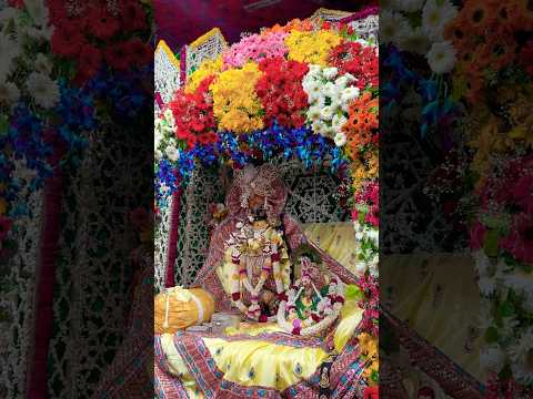 Shri Radhavallabh Ji Maharaj vivha utsav ke darshan 😍 #trending #shortsfeed #radharani #shorts