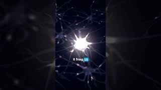 Unlock Your Potential: How Biology Influences Our Choices | Insights from Robert Sapolsky