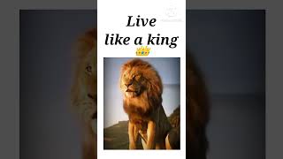 #livelikeaking #king #ytshorts #youtube #shorts