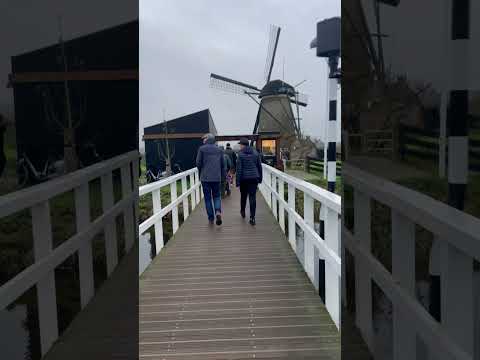 Kinderdijk windmill, Netherlands #kinderdijk #kinderdijkmills #windmill #netherland