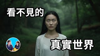有一個東西阻擋在我們與真相之間，讓我們無法看清這個世界 | 老高與小茉 Mr & Mrs Gao