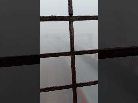 Agra ki shardi #trending #trendingshorts #cricket #upsc #ipl #viralvideo #cricketlover #cgl #stock