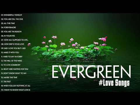 Evergreen Love songs Full Album Vol. 97 , Various Artists