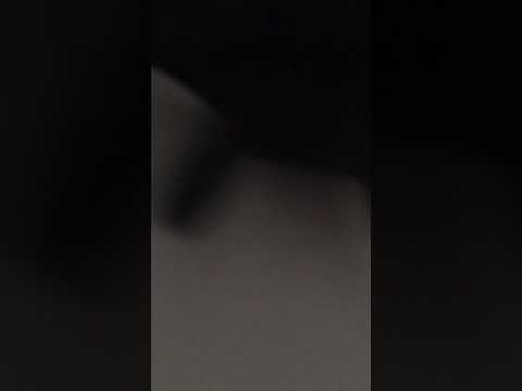 Feed the spider or I’ll eat you!